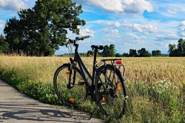 Bicicletas trekking